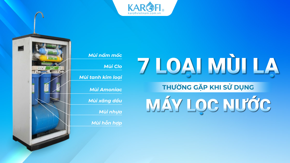 Nước Lọc Có Mùi Vị Lạ